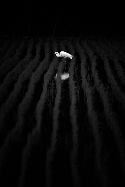 국민체력100 체력인증센터 관련 이미지